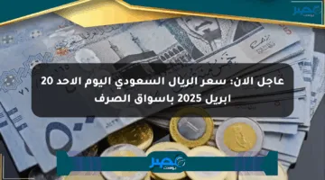 عاجل الآن: سعر الريال السعودي اليوم الأحد 20 أبريل 2025 بأسواق الصرف